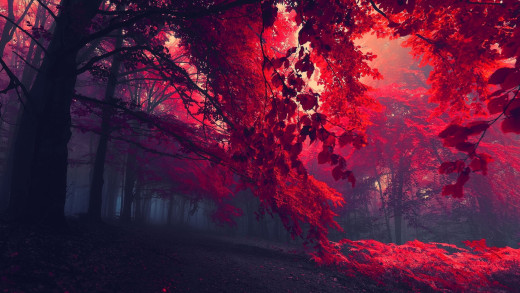 352190 (a): :1920x1080